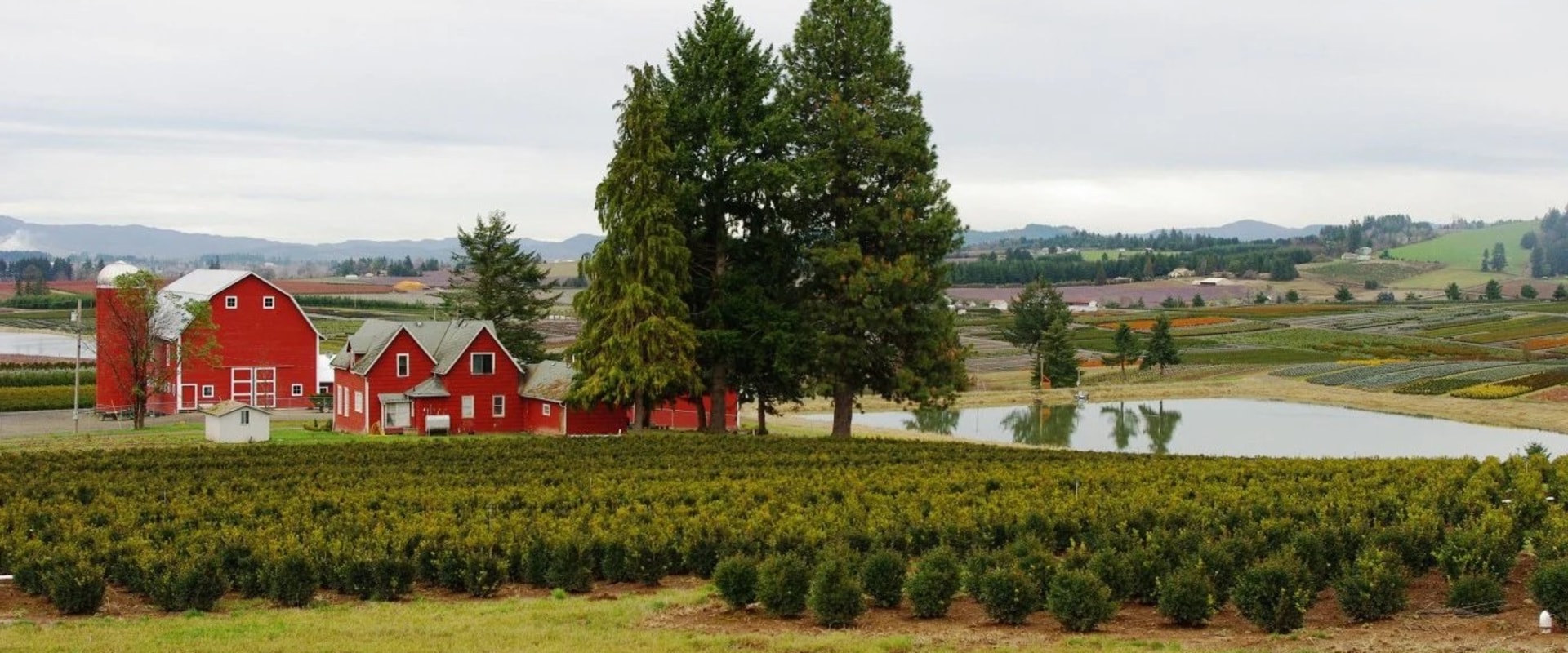 Exploring the Education System in Washington County, Oregon