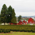 Exploring the Education System in Washington County, Oregon