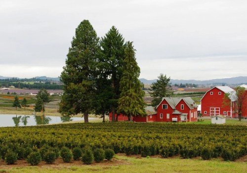 Exploring the Education System in Washington County, Oregon